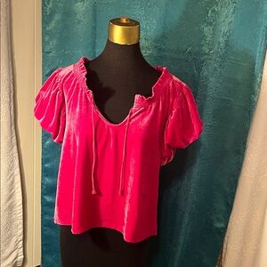 Free People Pink Velvet Women's Top